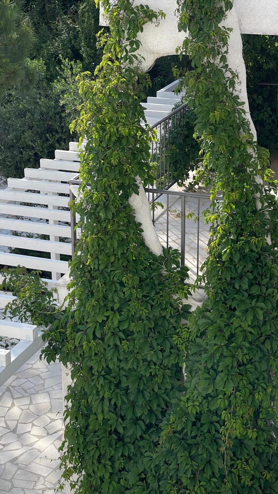 Przno Apartment Most Oliva Vrijesno Εξωτερικό φωτογραφία